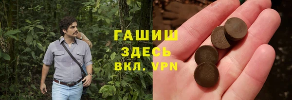 мет Алексин