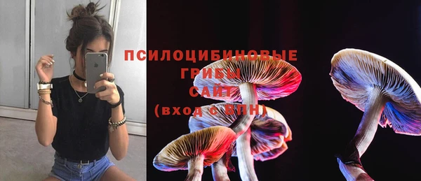 мет Алексин