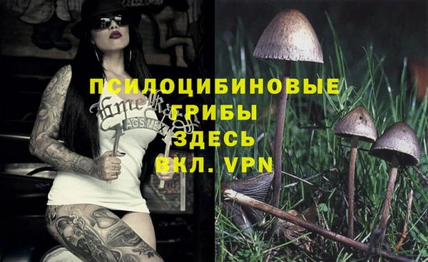 спайс Алзамай