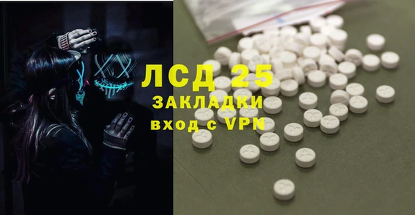 шишки Арсеньев